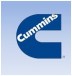 Nelson Engine Systems India Pvt Ltd (Associate company of Cummins India Ltd,)